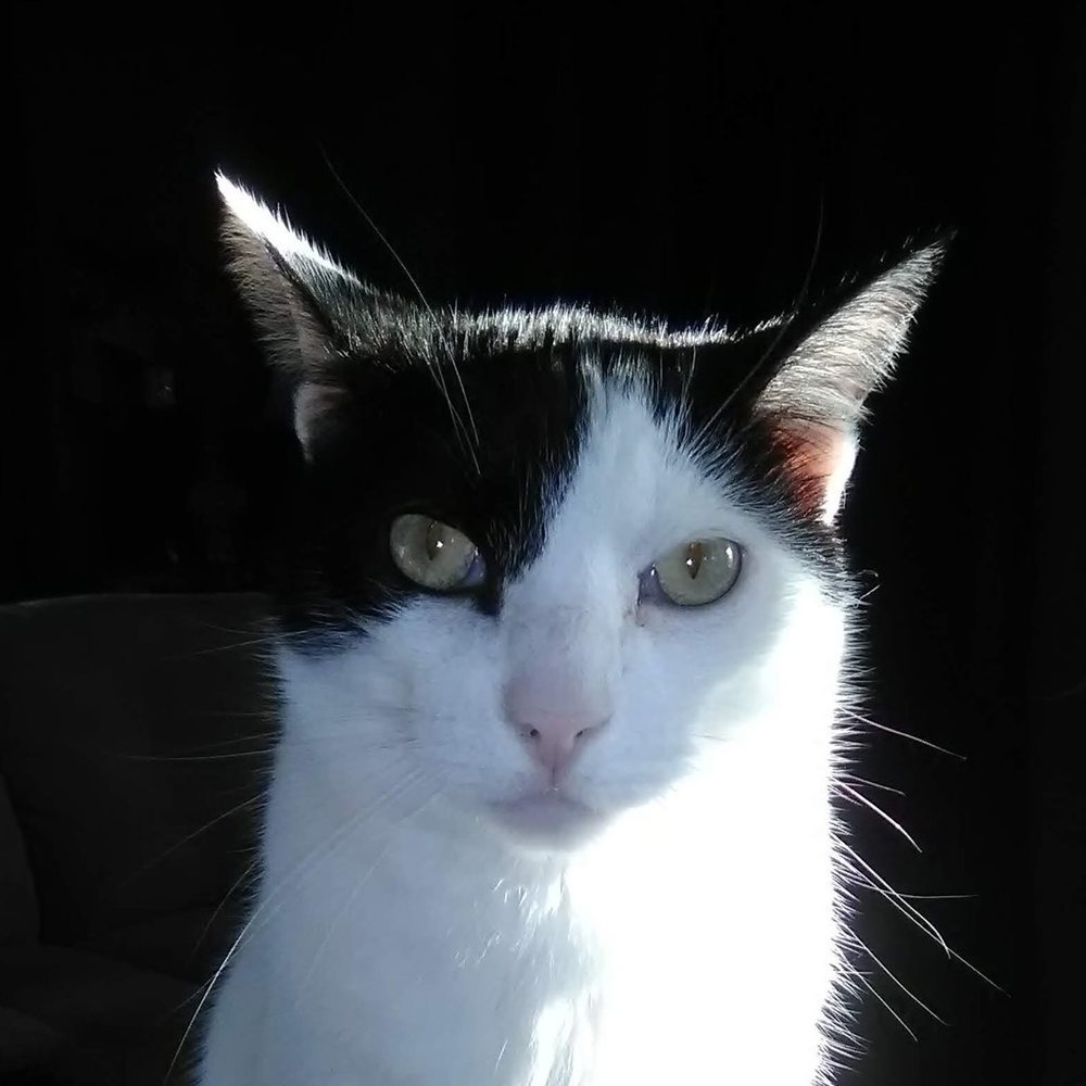 Meet your Posher, Sherry